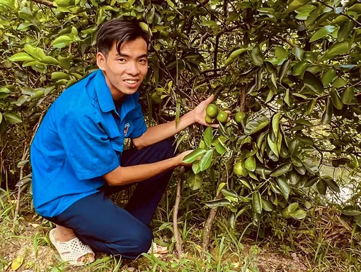 Làm giàu với mô hình kinh tế tổng hợp