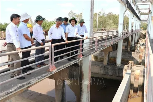 Khẩn trương xử lý sạt lở tại cống Vĩnh Kim