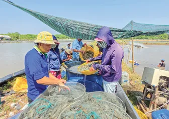 Nhiều giải pháp để kinh tế thành phố tăng trưởng cao