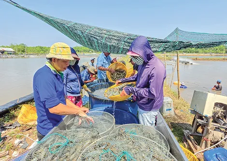 Nhiều giải pháp để kinh tế thành phố tăng trưởng cao