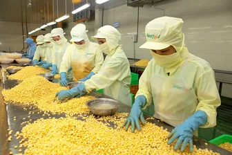 Bộ Công Thương cắt giảm, sửa đổi 36 thủ tục hành chính liên quan đến cấp C/O từ ngày 1-5