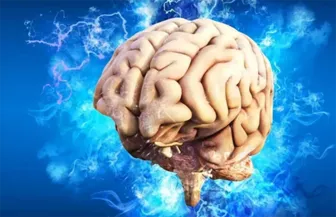 AI giúp cứu sống hàng triệu tế bào não cho bệnh nhân đột quỵ