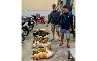 Trộm chó mang đi tiêu thụ, bị công an phát hiện
