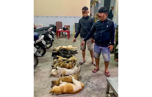 Trộm chó mang đi tiêu thụ, bị công an phát hiện