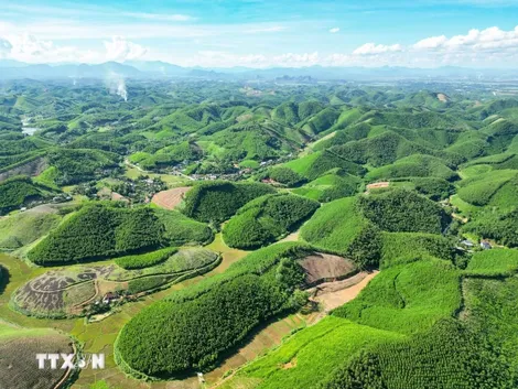 Ngày Trái đất 22/4: “Sức mạnh của chúng ta, hành tinh của chúng ta”