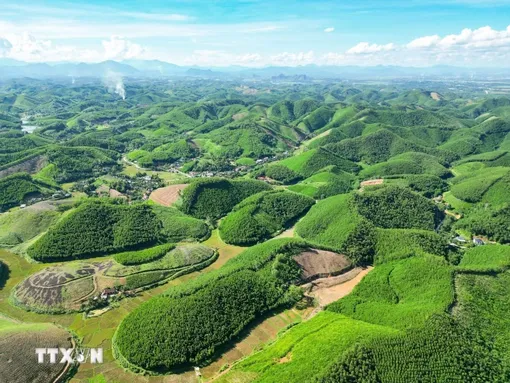 Ngày Trái đất 22/4: “Sức mạnh của chúng ta, hành tinh của chúng ta”