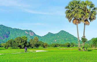 មក​ទស្សនា​សម្រស់​ធម្ម​ជាតិ​ឃុំ​ទ្រី​តូង