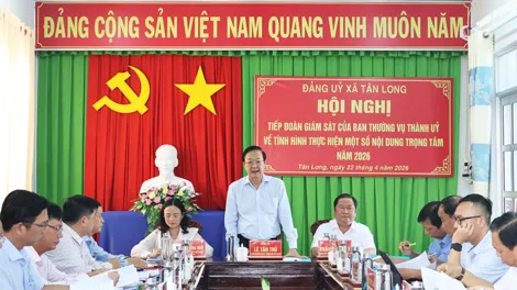 Đoàn Giám sát số 601 của Ban Thường vụ Thành ủy làm việc tại xã Tân Long