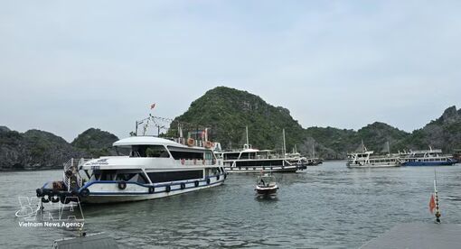 New cruise route linking Ha Long and Lan Ha Bays launched