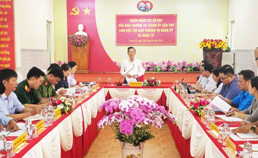 Đoàn giám sát số 602 của Ban thường vụ Thành ủy làm việc với xã Ngọc Tố