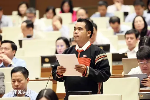 Đại biểu Quốc hội đề xuất cần cơ chế giữ gìn văn hoá từ cộng đồng và nghệ nhân