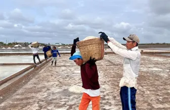 Duy trì và ổn định diện tích sản xuất muối bình quân 60ha/năm