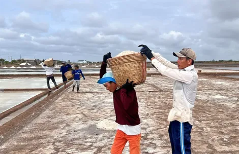 Duy trì và ổn định diện tích sản xuất muối bình quân 60ha/năm