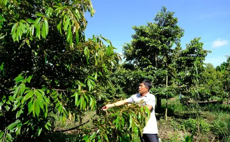 Trường Long đẩy mạnh ứng dụng khoa học, công nghệ trong sản xuất