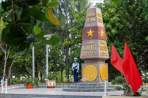 Ở Trường Sa, cây cũng "học làm lính"