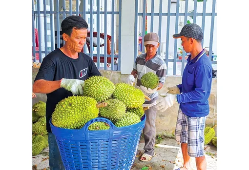 Dạo quanh thị trường ngày 23-4