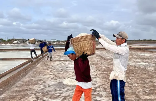Duy trì và ổn định diện tích sản xuất muối bình quân 60ha/năm