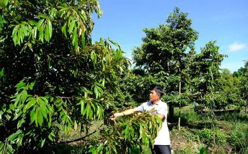 Trường Long đẩy mạnh ứng dụng khoa học, công nghệ trong sản xuất