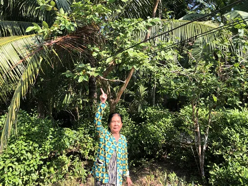 Dây điện giăng mắc không an toàn - hiểm họa treo lơ lửng