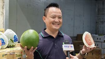 Vietnamese pomelo debuts in Australia, marking new milestone for agricultural exports