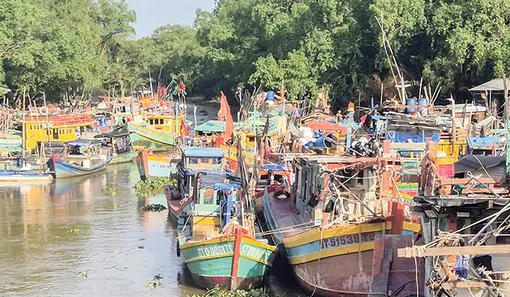 Quyết liệt khắc phục hạn chế, gỡ cảnh báo “Thẻ vàng” cho ngành hàng thủy sản