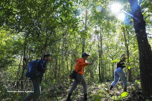 Vietnam tightens oversight of adventure tourism with new standard