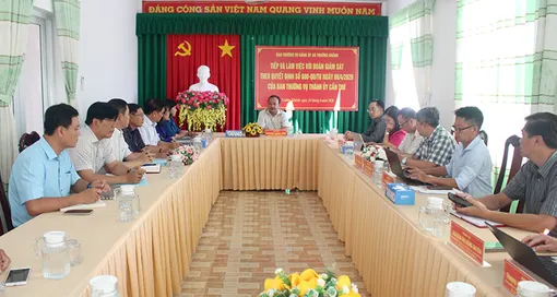 Đoàn Giám sát số 600 của Ban Thường vụ Thành ủy Cần Thơ làm việc tại xã Trường Khánh