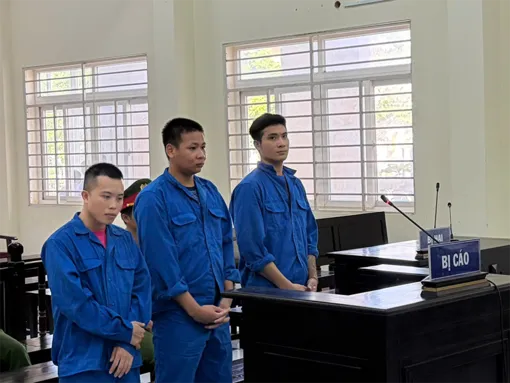 Lãnh án tù vì tổ chức sử dụng trái phép chất ma túy và giao cấu với người dưới 16 tuổi