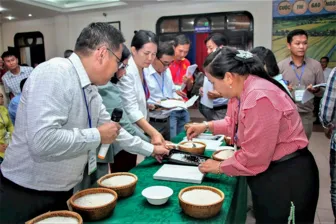 Cà Mau: Khai mạc Cuộc thi gạo ngon vùng ĐBSCL lần thứ I năm 2026