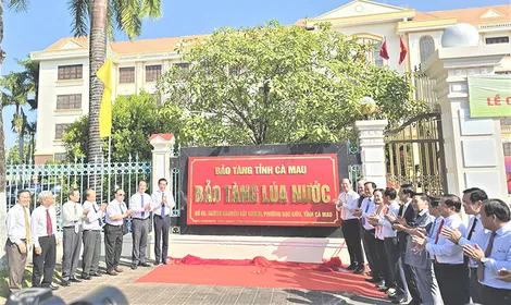 Cà Mau: Thành lập Bảo tàng và xây dựng biểu tượng tôn vinh lúa nước