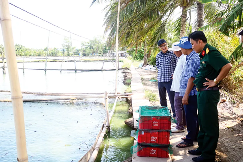 Khó khăn tìm đầu ra cho cá chạch quế