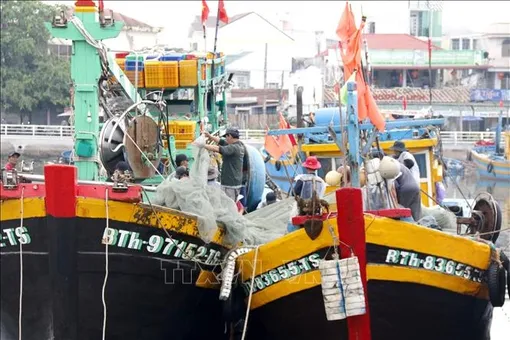 Thủ tướng Chính phủ yêu cầu khắc phục triệt để các tồn tại trong chống khai thác IUU