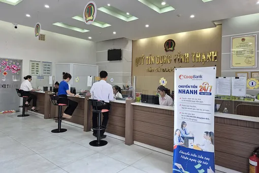 Đảm bảo an toàn hệ thống Quỹ Tín dụng nhân dân bằng chính sách bảo hiểm tiền gửi