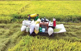 Cần Thơ phấn đấu thu nhập của người dân nông thôn đạt từ 80-100 triệu đồng/người/năm vào năm 2030