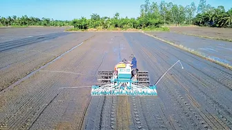 Tăng cường năng lực áp dụng và quản lý dinh dưỡng chính xác cho canh tác lúa