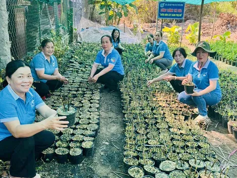 Nhiều công trình, phần việc chào mừng Đại hội MTTQVN