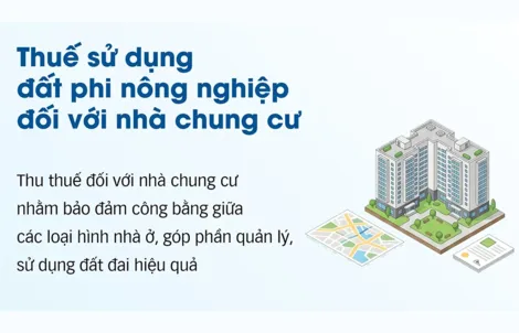 [INFOGRAPHICS] Thuế sử dụng đất phi nông nghiệp đối với nhà chung cư
