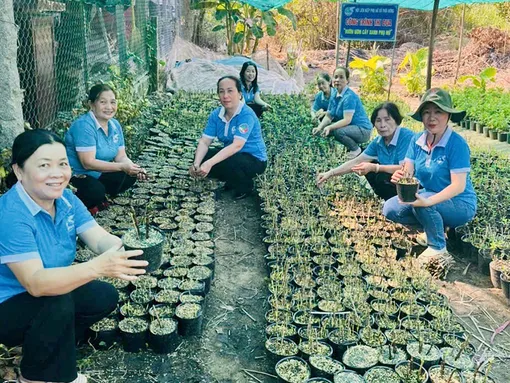 Nhiều công trình, phần việc chào mừng Đại hội MTTQVN