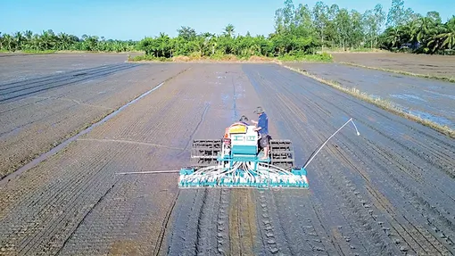 Tăng cường năng lực áp dụng và quản lý dinh dưỡng chính xác cho canh tác lúa