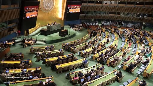 Vietnam pushes for balanced enforcement of NPT’s pillars