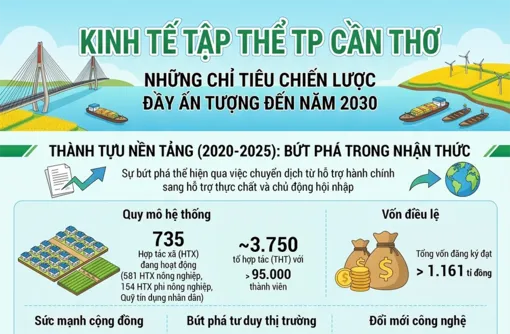 [INFOGRAPHICS] Kinh tế tập thể TP Cần Thơ: Những chỉ tiêu chiến lược đầy ấn tượng đến năm 2030