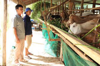 អនុ​វត្ត​វិទ្យា​សាស្ត្រ - បច្ចេក​ទេស​ប្រ​កប​ដោយ​ប្រ​សិទ្ធ​ភាព ក្នុង​ការ​ចិញ្ចឹម​ព​ពែ