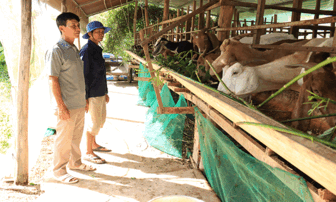 អនុ​វត្ត​វិទ្យា​សាស្ត្រ - បច្ចេក​ទេស​ប្រ​កប​ដោយ​ប្រ​សិទ្ធ​ភាព ក្នុង​ការ​ចិញ្ចឹម​ព​ពែ