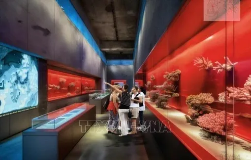 Bảo tàng Trường Sa: Tri ân các thế hệ đã bảo vệ, giữ gìn chủ quyền quốc gia