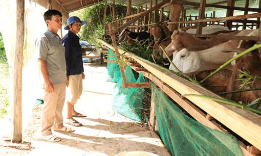 អនុ​វត្ត​វិទ្យា​សាស្ត្រ - បច្ចេក​ទេស​ប្រ​កប​ដោយ​ប្រ​សិទ្ធ​ភាព ក្នុង​ការ​ចិញ្ចឹម​ព​ពែ