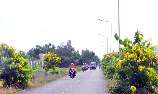 Có 16 tỉnh, thành phân loại nhóm xã trong xây dựng nông thôn mới