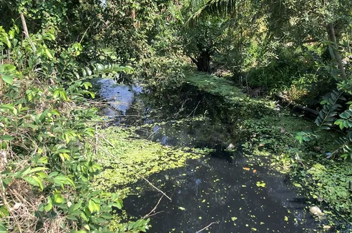 Xả thải trực tiếp gây ô nhiễm kênh đường 930