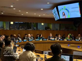 Vietnam chairs roundtable on peaceful use of nuclear energy