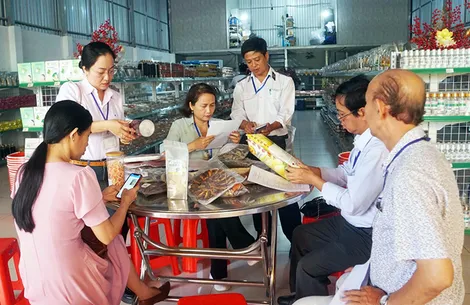 Kiểm tra công tác tổ chức thi hành pháp luật năm 2026 