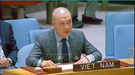 Việt Nam kêu gọi giảm leo thang căng thẳng tại Trung Đông và tiếp tục thúc đẩy giải pháp hai Nhà nước
